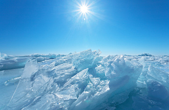 Сотрудничество в Арктике в рамках международных организаций обсудят  на сессии Think Arctic — Think Global в Москве