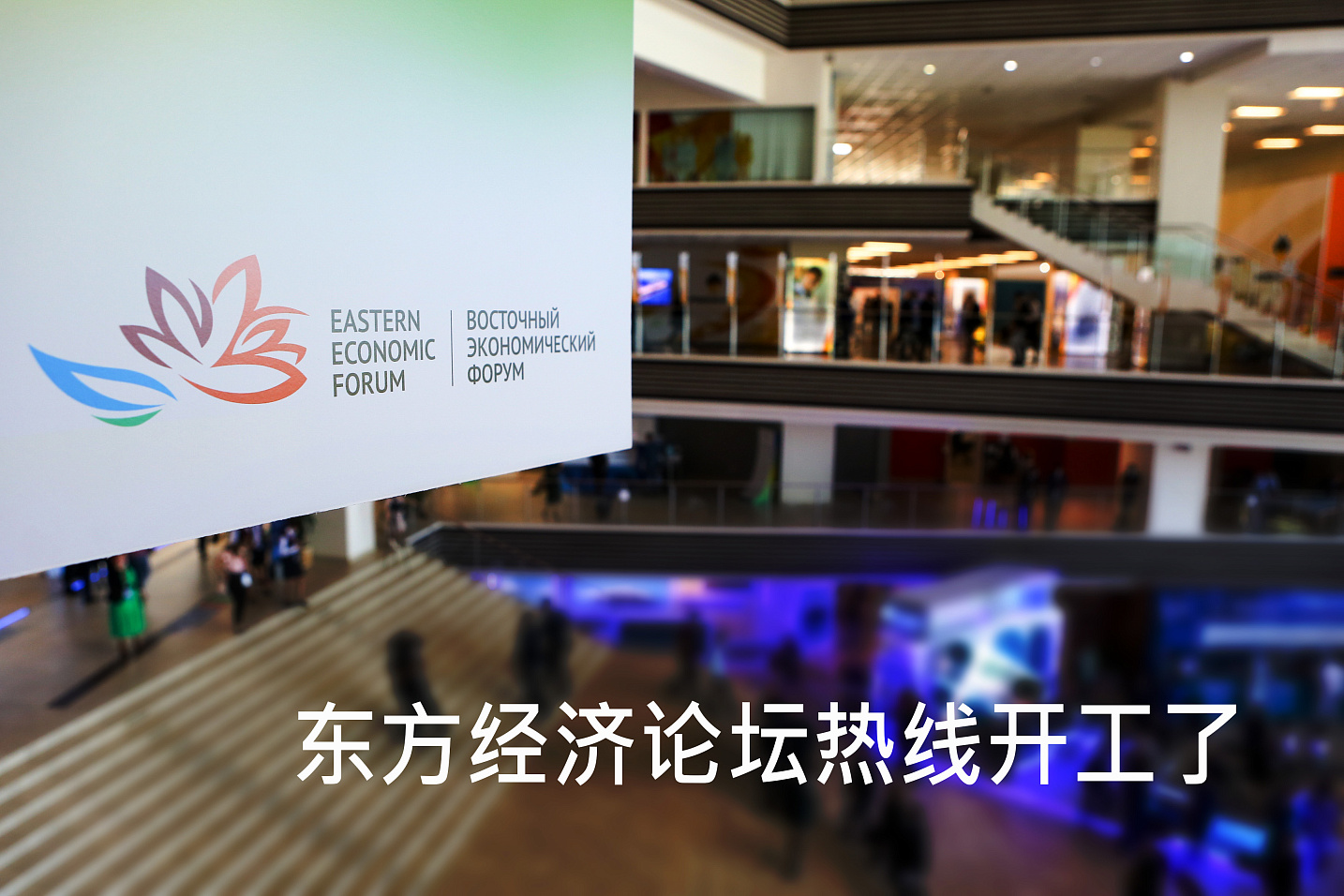 Информационная линия Восточного экономического форума начала принимать обращения на китайском языке