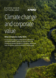 Изменение климата и корпоративные ценности: что на самом деле думают компании