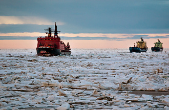 Перспективы российско-китайского сотрудничества обсудили в рамках проекта Think Arctic