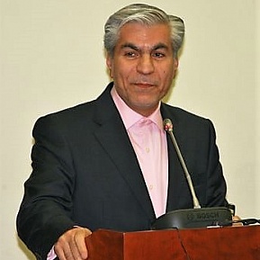 Seyed Mohammed Hossein Adeli