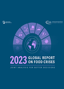 Глобальный отчет о продовольственных кризисах — 2023