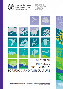 Состояние биоразнообразия в мире для производства продовольствия и ведения сельского хозяйства