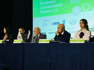 Темы повестки ПМЭФ обсудили в рамках российско-кипрского бизнес-форума