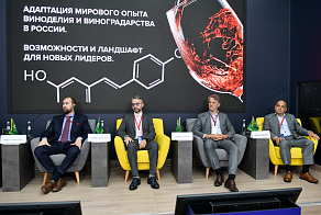Адаптация мирового опыта виноделия и виноградарства в России. Возможности и ландшафт для новых лидеров