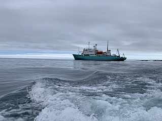 Участники экспедиции «Арктический плавучий университет — 2022: меняющаяся Арктика» провели изучение экосистем северных акваторий