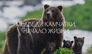 Демонстрация фильма «Медведи Камчатки. Начало жизни»