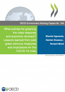 Как сделать более экологичным процесс восстановления экономики после кризиса, вызванного пандемией COVID-19? Уроки, извлеченные из прошлых «зеленых» инициатив